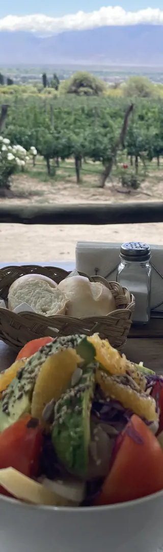 Weingebiet Cafayate